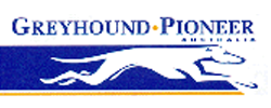 Greyhound Pioneer Australia
